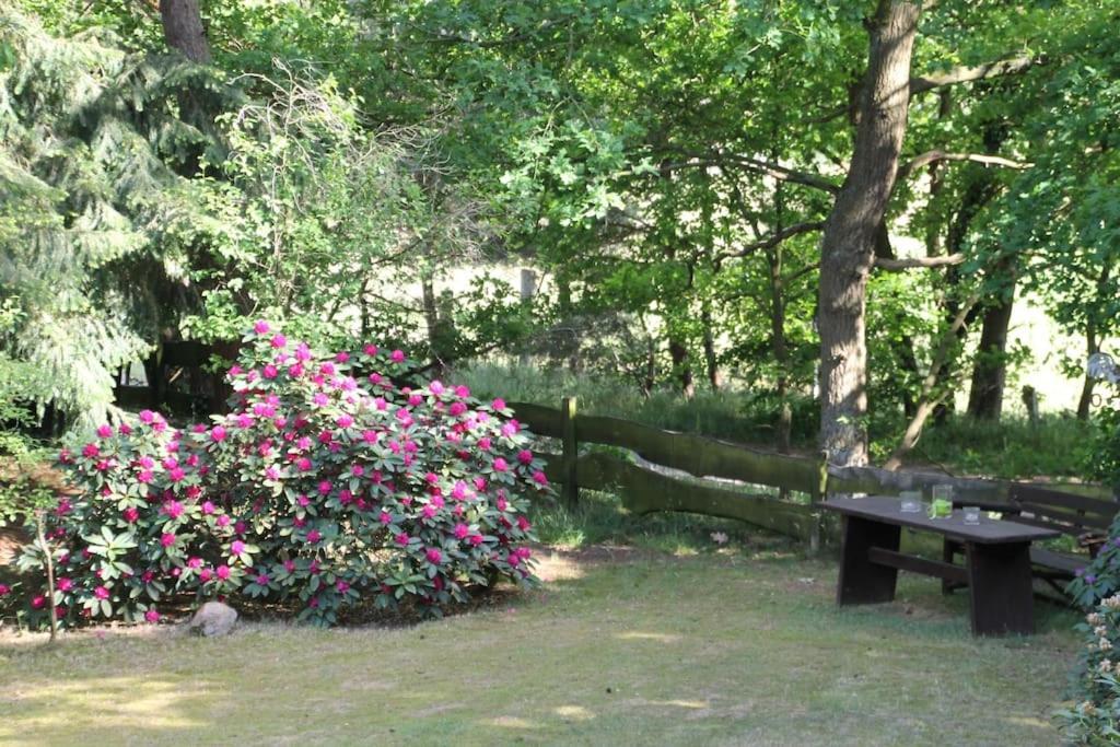Ferienhaus Am Waldesrand Hatten Exterior foto